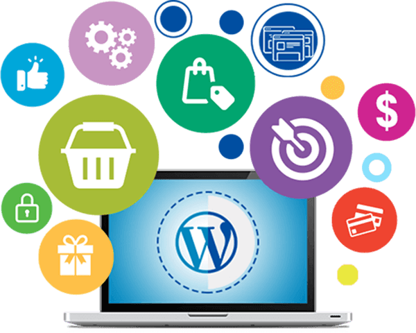 wordpress course in jaipur